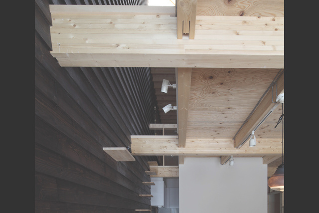 リビング吹抜部にあるねこ階段